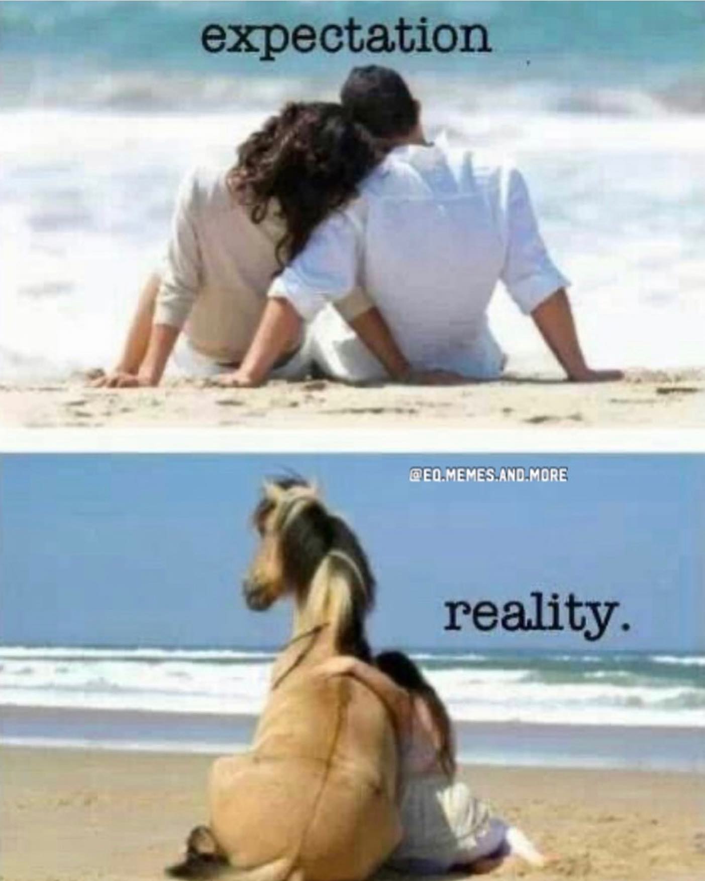 Equestrian Life